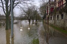 Les berges inondées, un numéro vert pour les habitants vulnérables
