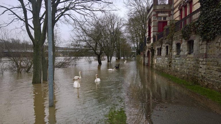 Les berges inondées, un numéro vert pour les habitants vulnérables