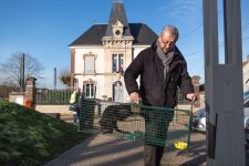 Chats errants : le maire de Breuil-Bois-Robert met la main à la pâte