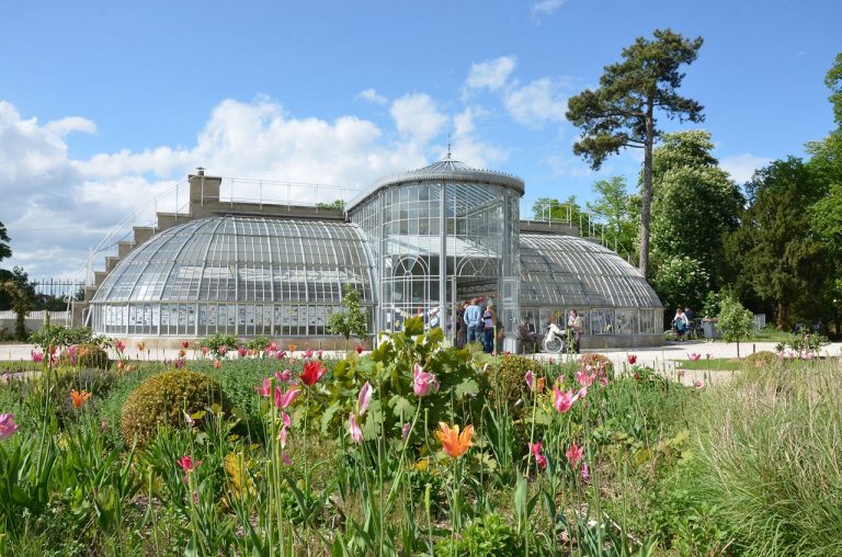 La Grande Guerre exposée