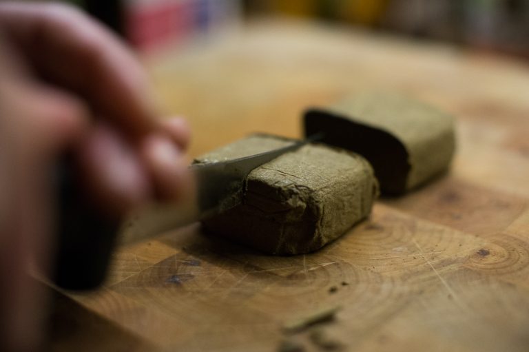 Deux amis arrêtés alors qu’ils venaient livrer de la drogue à Bois-d’Arcy