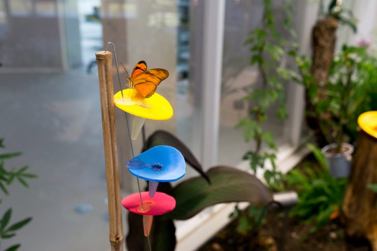 « Voir l’invisible » à la fête de la nature