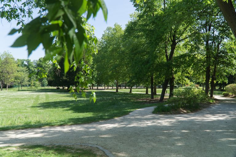 Contre la chaleur, l’opposition demande des arbres