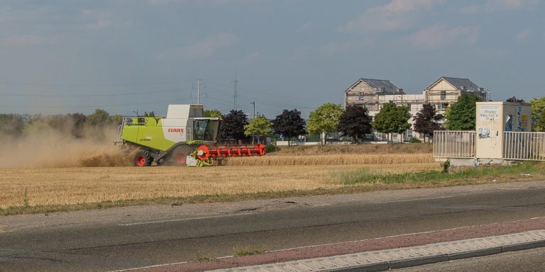 Yvelines et Hauts-de-Seine au Salon de l’agriculture