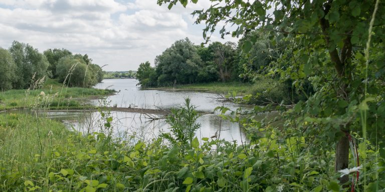 Un après-midi pour célébrer la biodiversité