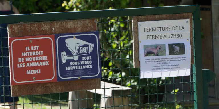 Décès d’animaux à la ferme, les visiteurs doivent arrêter de les nourrir