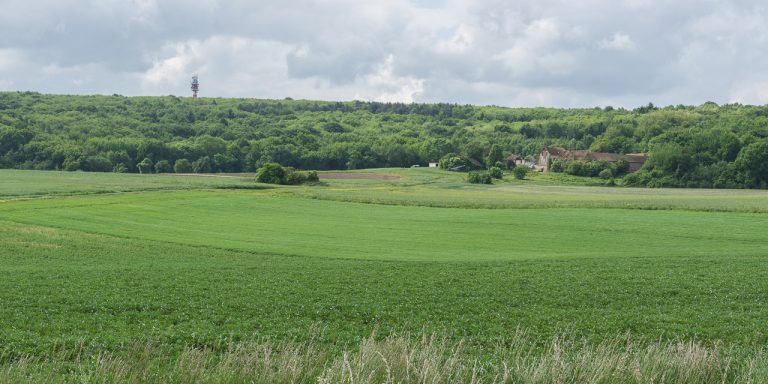 Carrière cimentière : le tribunal demande une nouvelle expertise sur l’eau