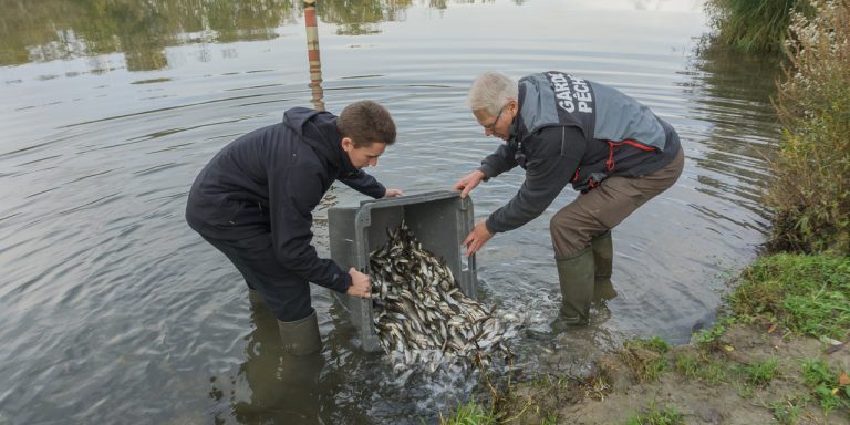 Plus de 200 kilos de poissons remis à l’eau