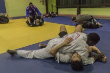 Le jiu jitsu brésilien, un sport tactique qui se démocratise
