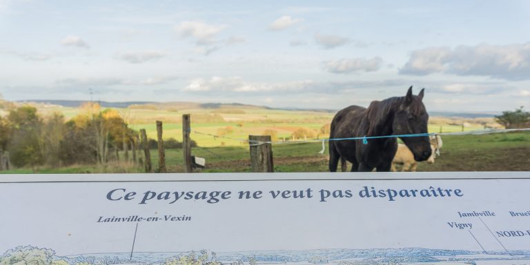 Calcia renonce à son projet de carrière, la cimenterie convertie