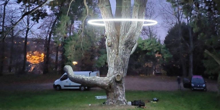 Le parc de la Brunetterie s’illumine le temps d’une exposition