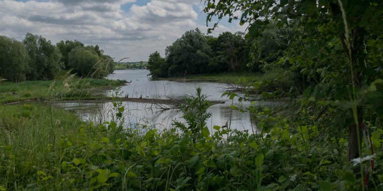 Animaux mal en point, comment prévenir les secours ?
