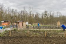 Jardins familiaux : la mairie réfléchit à un « pôle d’agriculture urbaine »