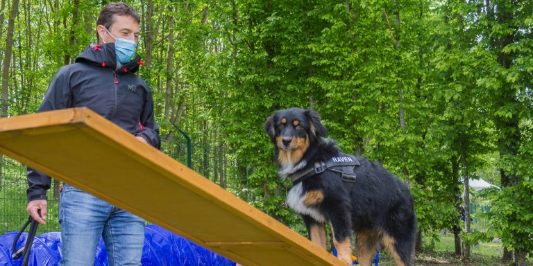 Un caniparc ouvre à La Coudraie