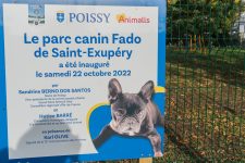 Un nouveau parc canin ouvre en ville