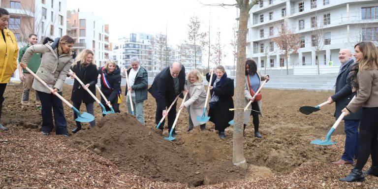 Les premiers arbres du futur parc Rouget-de-l’Isle sont plantés