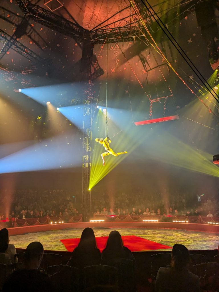 Plus de 9 000 spectateurs pour le 22ème Festival International du Cirque