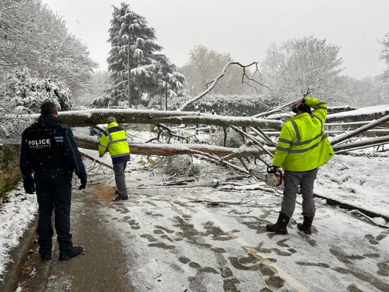 Le quartier du Haut Orgeval privé de courant pendant 24h