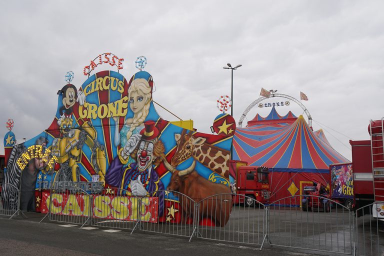 La Mairie dénonce l’installation d’un cirque exploitant des animaux