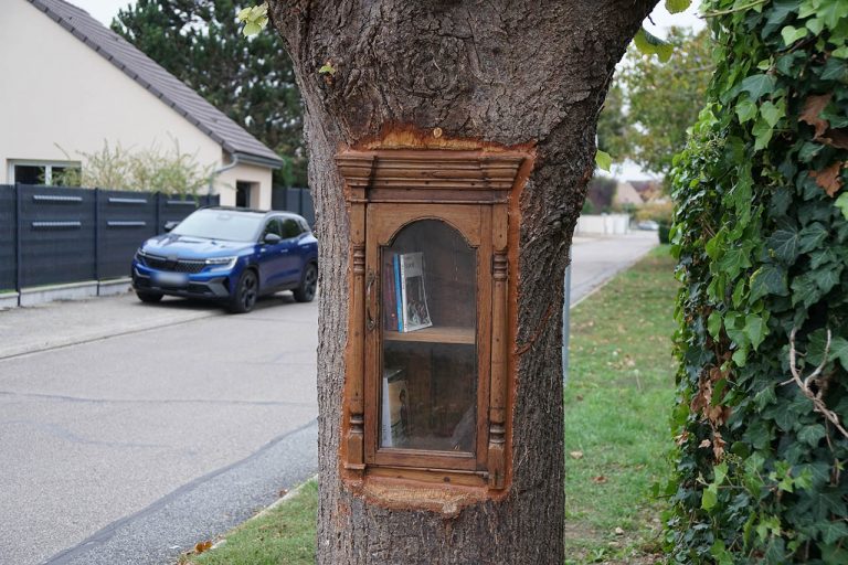 Une boîte à livres cachée dans un tronc