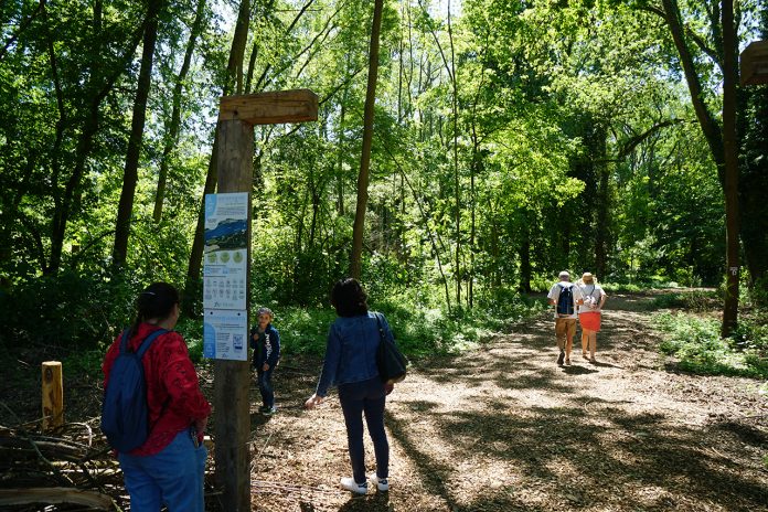 1280-Île-De-Devant-Conflans-parcours-panneau-promenade
