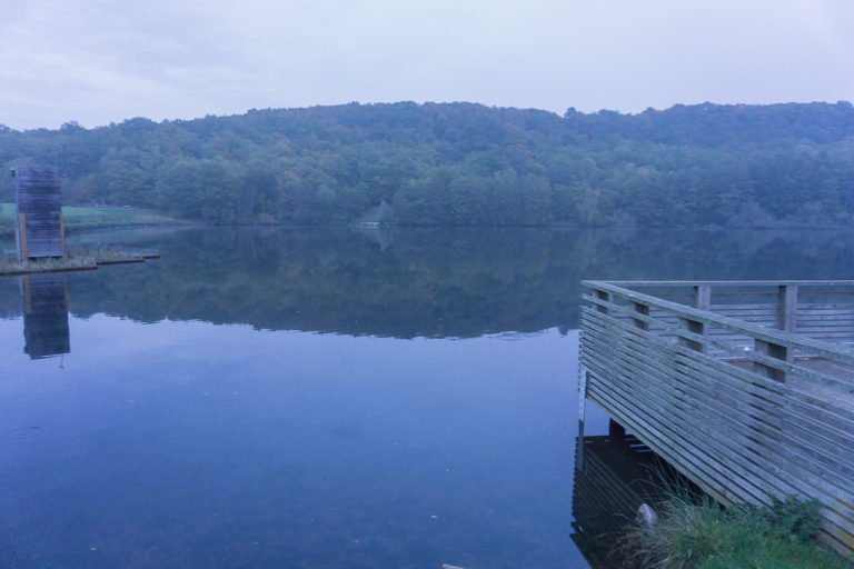 Quatre hommes enlèvent une femme à cause d’une dette d’argent