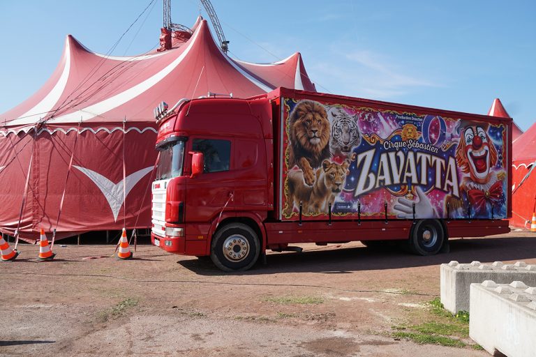 Le cirque Zavatta s’installe en ville