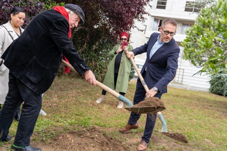 La Ville plante un olivier pour la paix